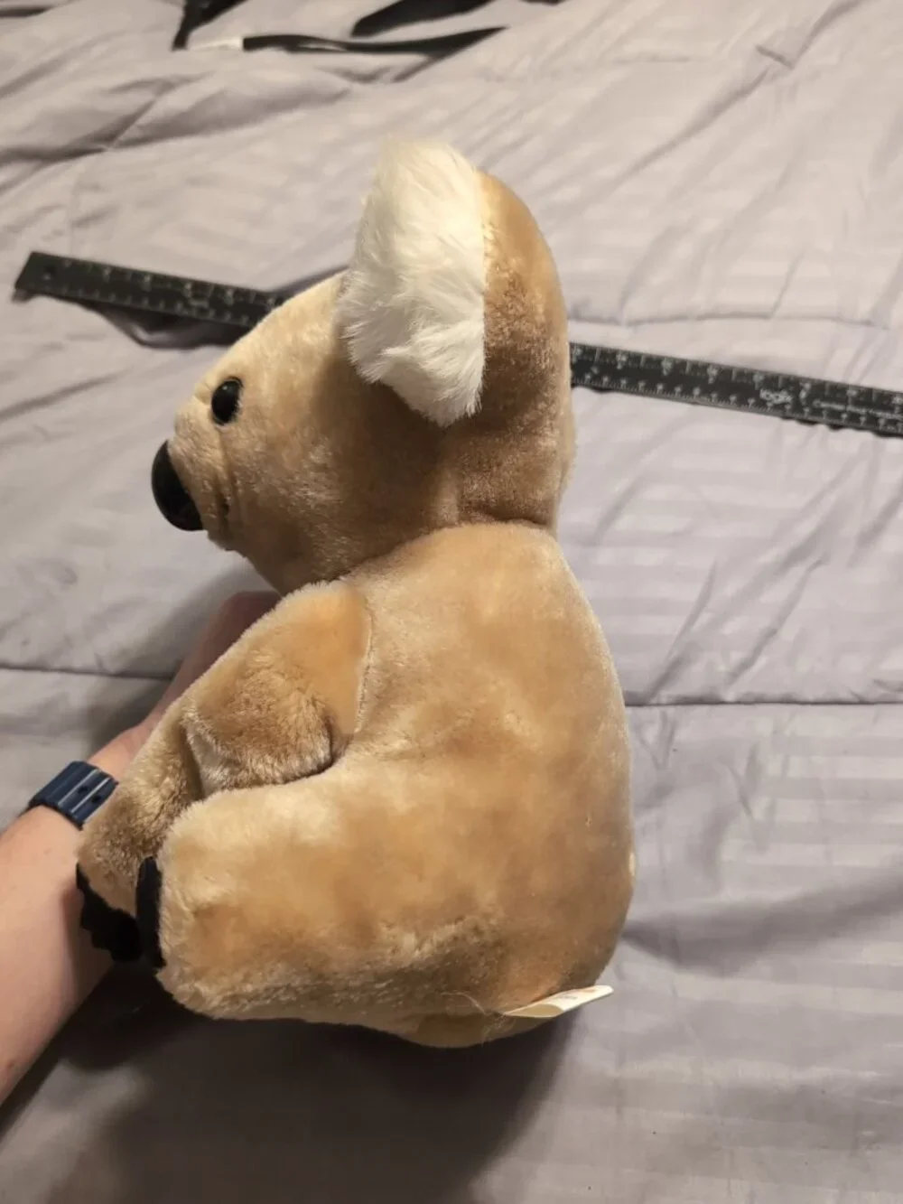 Suntoy this vintage